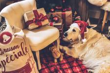 Annelise ROTH - Annelie R Photography